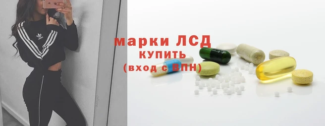 mdpv Майский