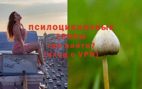 винт Магас